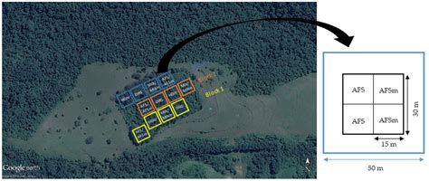 Forest Structure, Wood Standing Stock, and Tree Biomass in Different ...