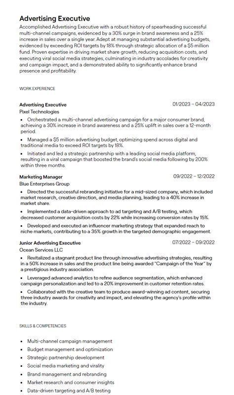 Image result for Job CV Examples