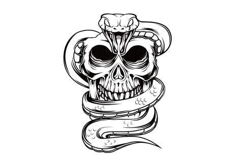 Image result for Python Skull
