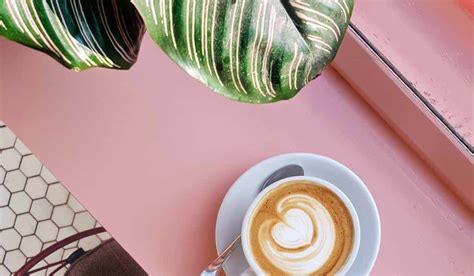 How They Make Coffee 的图像结果