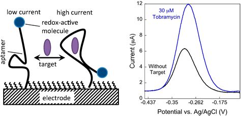 Rationally Designing Aptamer Sequences with Reduced Affinity for ...