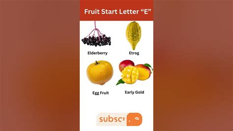 fruit start letter E #fruits - YouTube
