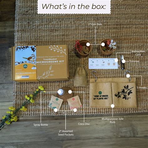 Homegrown Microgreens Kit – TrustBasket