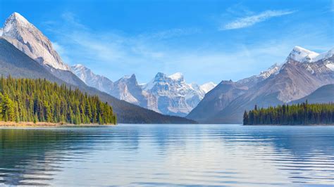 Relax Textured Background 的图像结果