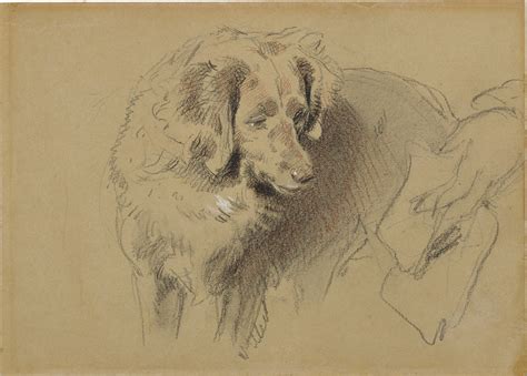 Sir Edwin Henry Landseer | Study of a Dog | The Metropolitan Museum of Art