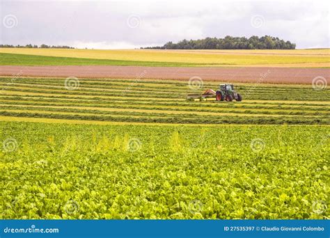 Agriculture In France