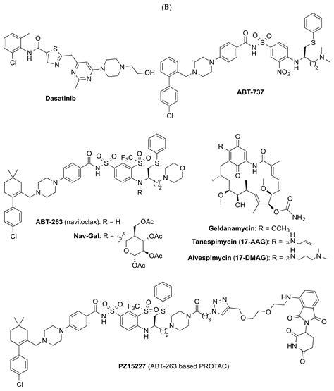 New Trends in Aging Drug Discovery