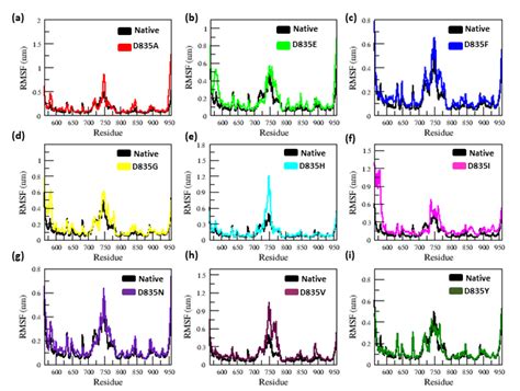The Structural Effect of FLT3 Mutations at 835th Position and Their ...
