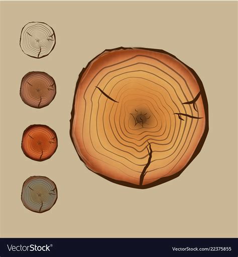 Image result for Cut Log