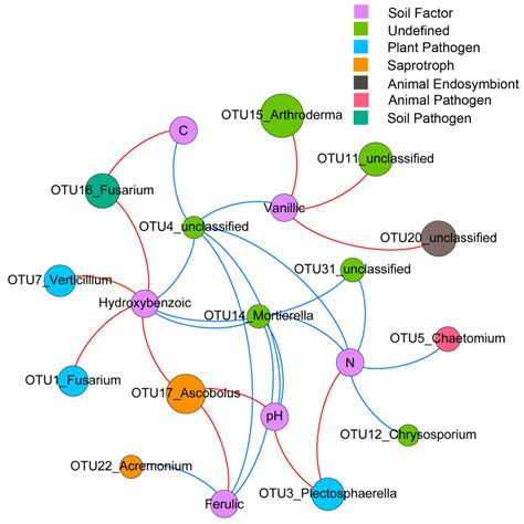 Bacterial Tomato Pathogen Ralstonia solanacearum Invasion Modulates ...