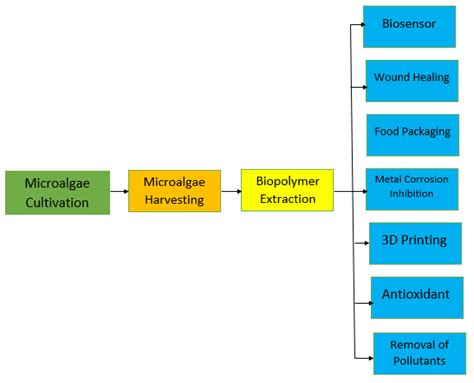 Green Bioprocessing of Algae-Derived Biopolymers | Encyclopedia MDPI
