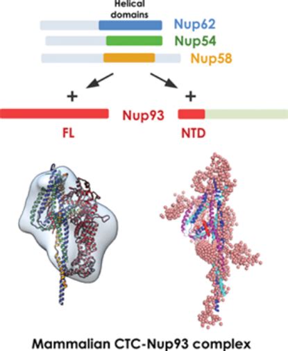 National Centre for Cell Science