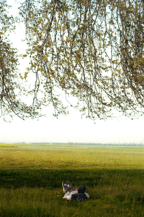 6.000+ beste سكس+مص+زب+ساخن+عربي+اجنبي+hd foto's · 100% gratis downloaden · Pexels-stockfoto's