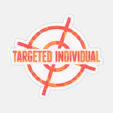 Targeted Individual Program 2020 的图像结果