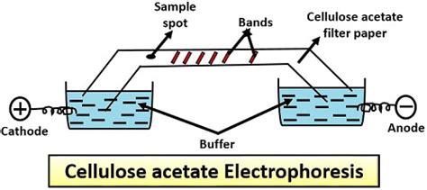Image result for Class 8 Computer Science Notes