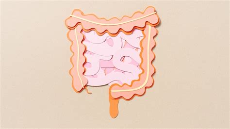 Study links zinc with gut problems. 5 foods to include in your diet ...