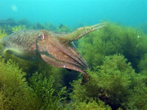 Blue Ocean Divers (Lagos) - All You Need to Know BEFORE You Go