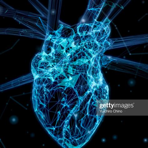 Image result for Cardio Data Project