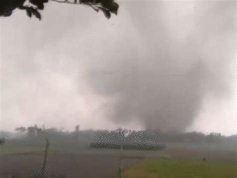 Devastation due to rain-storm in 4 states of the country | દેશના 4 ...