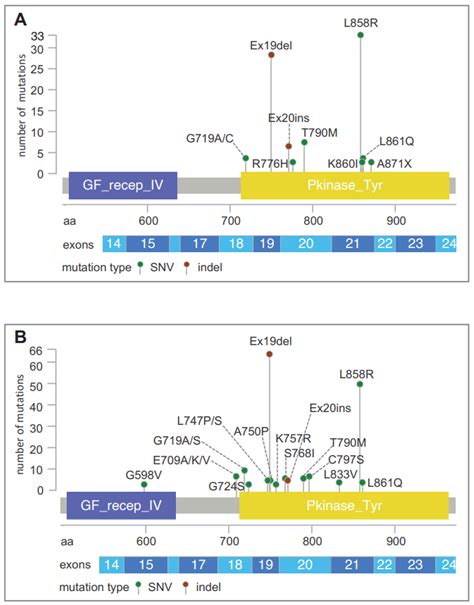 Mutational Profiling of Lung Cancer Using Next Generation Sequencing: A ...