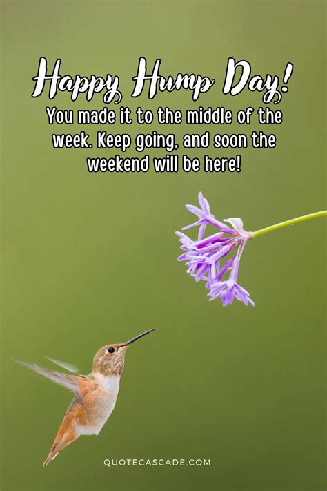 22 Happy Hump Day Wishes To Lift Your Spirits This Wednesday