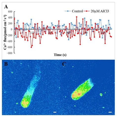 Plants | Special Issue : Role of Cell Wall in Plant Development