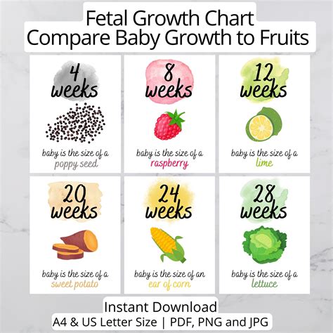Fruit Growth Chart Pregnancy at Eula Seay blog