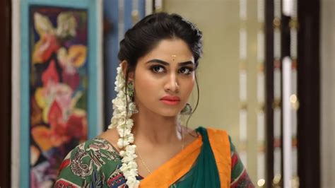 Watch Rettai Roja TV Serial 12th September 2019 Full Episode 22 Online ...