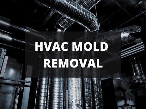 How To Remove Mold From Air Conditioner Ducts | Mold Remediation