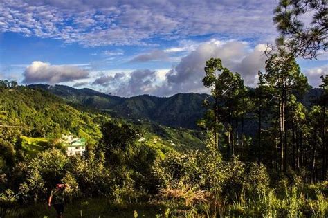 Top Things To Do In Binsar With Friends