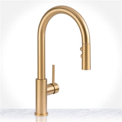 Gold Tone Kitchen Faucet – Things In The Kitchen