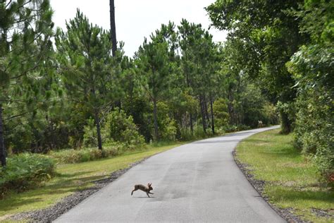 Bear Creek - Trails - OuterSpatial