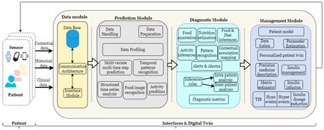 Human Digital Twin for Personalized Elderly Type 2 Diabetes Management