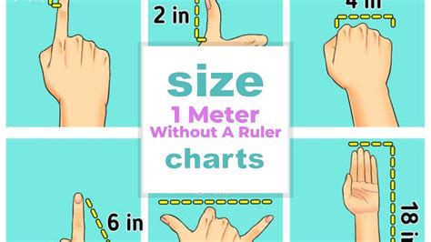 How Big Is 1 Meter
