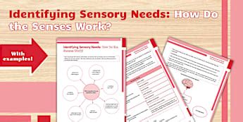 Identifying Sensory Needs Sensory Needs - OT Primary Resources