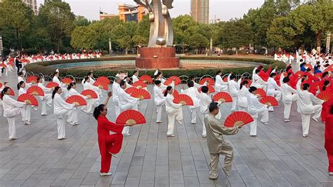 打太极送什么礼物最新素材