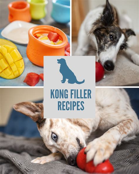 13 Kong Filler Recipes - Stuff Your Kong for Puppies & Adult Dogs