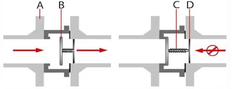 Image result for Spring Loaded in Line Check Valve