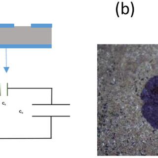 Image result for Smith Chart Matching Capacitor
