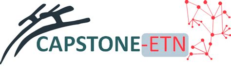 CAPSTONE - accelopment