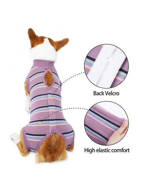 Combinaison de récupération pour chien, combinaison de récupération ...