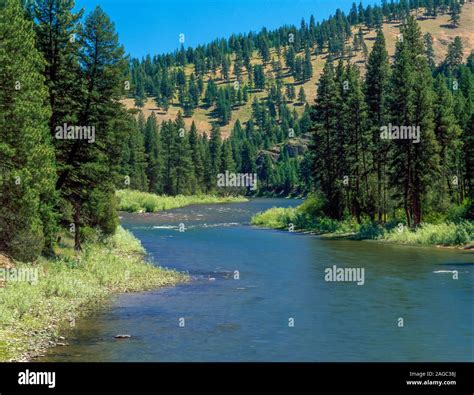 blackfoot river near potomac, montana Stock Photo - Alamy