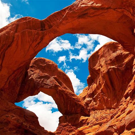 Botany Vidio 12 的图像结果