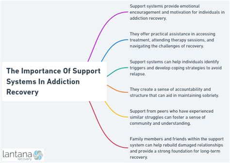 Image result for Addiction Recovery Support System