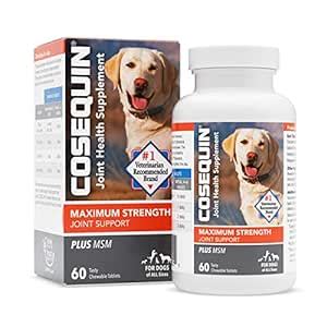 Buy Cosequin Nutramax Ds Chewables Plus MSM, 60 Ct Online at Low Prices ...