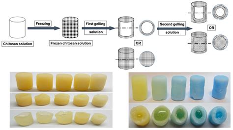 Update on Chitosan-Based Hydrogels: Preparation, Characterization, and ...