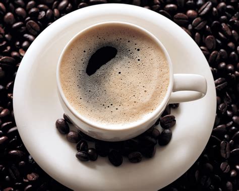 曼特宁咖啡 曾经的世界第一咖啡 | 爱咖啡的人