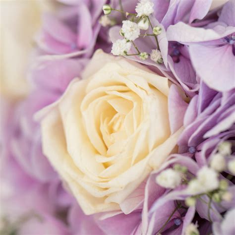 Pastel Rouge - Order Artisanal Bouquets Online - The Flora