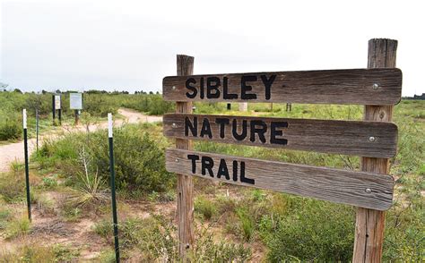 Nature Center 的图像结果