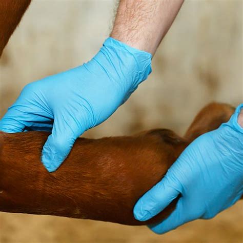 Material de protección · Productos de Material de protección ...